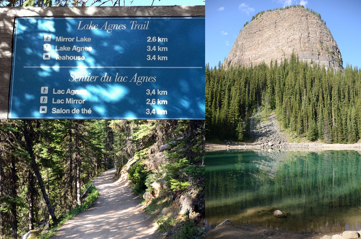 03 Lake Agnes Trail Sign and Trail Leads Through Trees To Mirror Lake Below Big Beehive